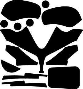 BPYM005F