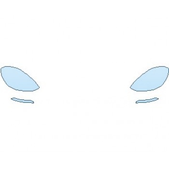 PAINT PROTECTION KIT - 2020 PORSCHE PANAMERA 4 E-HYBRID STANDARD WHEELBASE LIGHTS - PRECUT PPF CLEAR BRA WRAP