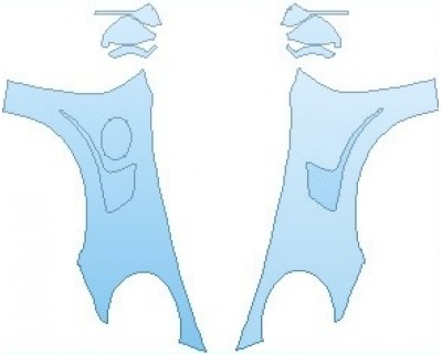 PAINT PROTECTION KIT - 2019 PORSCHE 911 GT2 RS  FULL FENDERS NO WRAPPED EDGES - PRECUT PPF CLEAR BRA WRAP