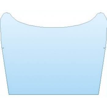 PAINT PROTECTION KIT - 2021 HYUNDAI TUCSON SE FULL HOOD SEMI BULK - PRECUT PPF CLEAR BRA WRAP