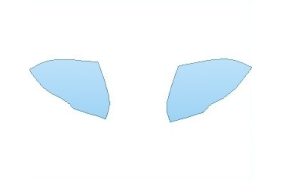 PAINT PROTECTION KIT - 2027 FORD EDGE ST MIRRORS - PRECUT PPF CLEAR BRA WRAP