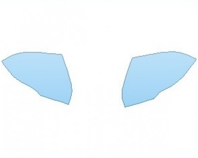 PAINT PROTECTION KIT - 2024 FORD EDGE TITANIUM MIRRORS WITH MARKER LIGHTS - PRECUT PPF CLEAR BRA WRAP
