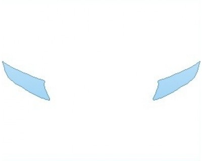 PAINT PROTECTION KIT - 2021 MERCEDES METRIS PASSENGER LIGHTS - PRECUT PPF CLEAR BRA WRAP