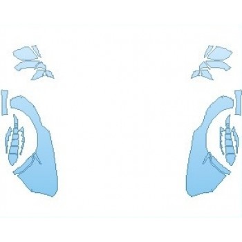 PAINT PROTECTION KIT - 2023 LAMBORGHINI HURACAN STO HOOD PART 2 - PRECUT PPF CLEAR BRA WRAP