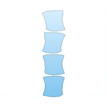 PAINT PROTECTION KIT - 2024 LEXUS IS 350 F-SPORT DOOR CUPS IN CUP DESIGN - PRECUT PPF CLEAR BRA WRAP