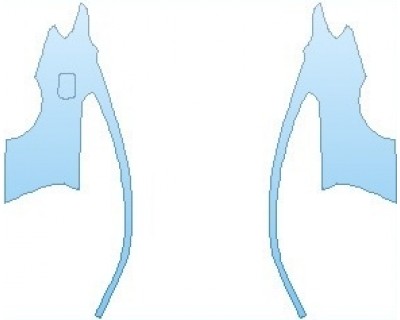 PAINT PROTECTION KIT - 2020 BMW M4 GTS COUPE REAR QUARTER PANELS - INVISIBLEMASK - 3M PAINT PROTECTION