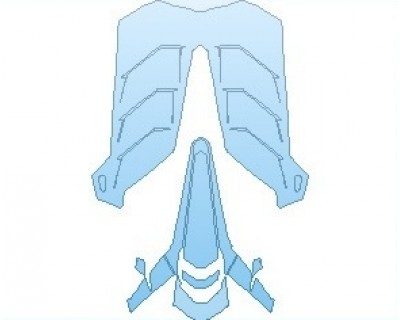 PAINT PROTECTION KIT - 2022 LAMBORGHINI AVENTADOR SVJ EDITION 63 ENGINE COVER - PRECUT PPF CLEAR BRA WRAP