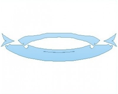 PAINT PROTECTION KIT - 2023 ASTON MARTIN VANTAGE HERITAGE RACING EDITION COUPE BUMPER LOWER - PRECUT PPF CLEAR BRA WRAP