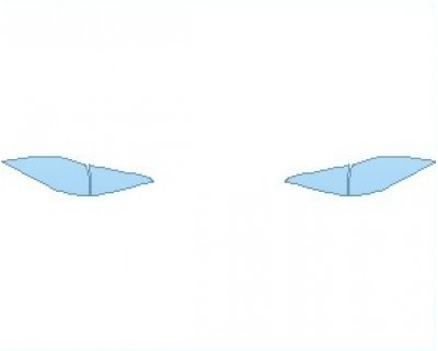 Precut PPF Kit – Clear Bra Paint Protection Film PAINT PROTECTION KIT - 2021 MERCEDES GLE CLASS AMG 63 S SUV LIGHTS REAR - PRECUT PPF CLEAR BRA WRAP