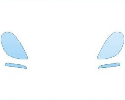 Precut PPF Kit – Clear Bra Paint Protection Film PAINT PROTECTION KIT - 2019 PORSCHE BOXSTER SPYDER LIGHTS - PRECUT PPF CLEAR BRA WRAP