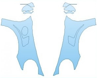 PAINT PROTECTION KIT - 2019 PORSCHE 911 GT3 RS  FULL FENDERS WRAPPED EDGES - PRECUT PPF CLEAR BRA WRAP