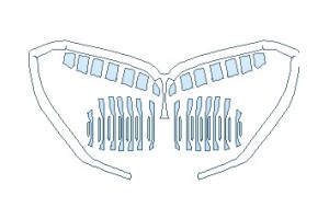 2026 BMW 2 SERIES SPORT LINE GRAN COUPE GRILLE