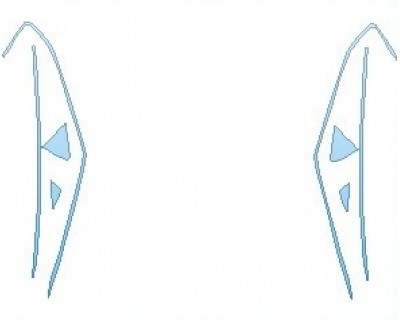 2024 FORD GT  WINDOW TRIM - PRECUT PPF CLEAR BRA WRAP