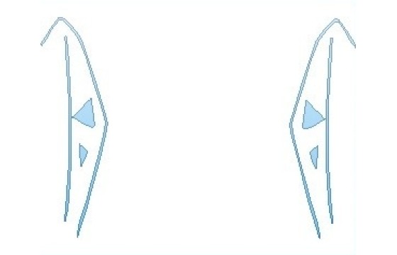 2027 FORD GT  WINDOW TRIM - PRECUT PPF CLEAR BRA WRAP