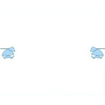 PAINT PROTECTION KIT - 2019 PORSCHE 911 SPORT DESIGN CABRIOLET SPORT DESIGN MIRRORS - PRECUT PPF CLEAR BRA WRAP