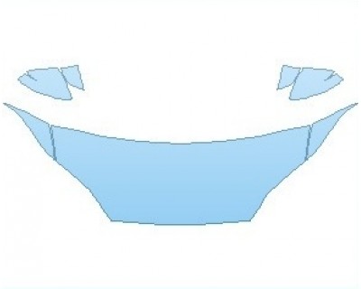2023 TESLA MODEL S LONG RANGE HOOD (WRAPPED EDGES)