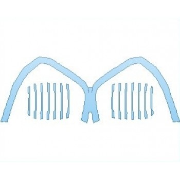 PAINT PROTECTION KIT - 2021 BMW X5 XLINE GRILLE - PRECUT PPF CLEAR BRA WRAP