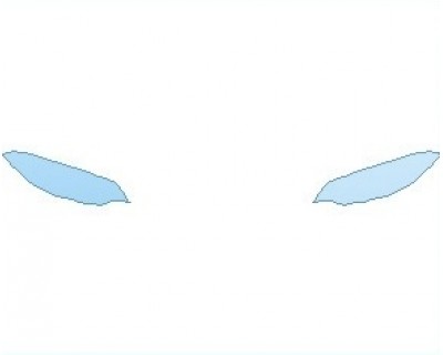 PAINT PROTECTION KIT - 2021 BMW 2 SERIES BASE COUPE LIGHTS - PRECUT PPF CLEAR BRA WRAP