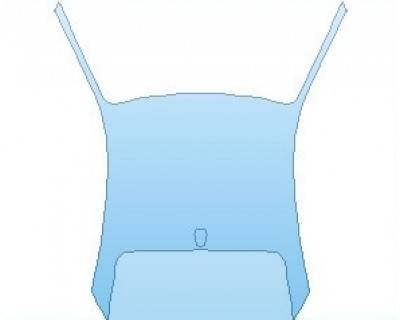 PAINT PROTECTION KIT - 2020 FERRARI 488 PISTA COUPE ROOF WITH DOMED ANTENNA - INVISIBLEMASK - 3M PAINT PROTECTION