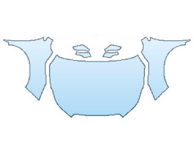 PRECUT PPF CLEAR BRA WRAP