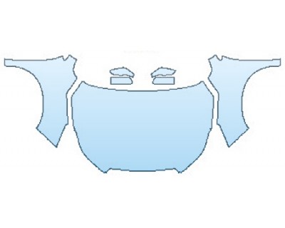 PRECUT PPF CLEAR BRA WRAP