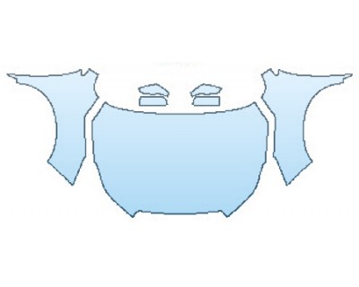 PRECUT PPF CLEAR BRA WRAP