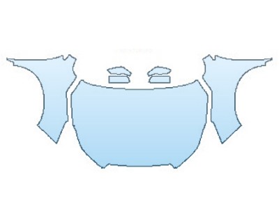PRECUT PPF CLEAR BRA WRAP