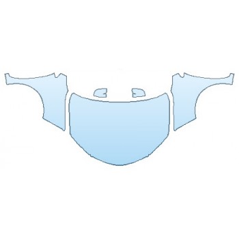 PRECUT PPF CLEAR BRA WRAP
