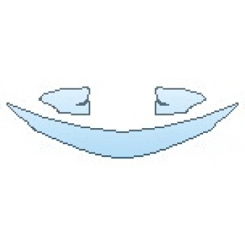 PRECUT PPF CLEAR BRA WRAP