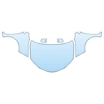 PRECUT PPF CLEAR BRA WRAP
