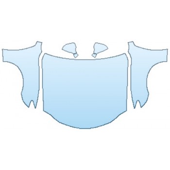 PAINT PROTECTION KIT - 2017 LEXUS RC 300 FULL HOOD FENDERS MIRRORS - PRECUT PPF CLEAR BRA WRAP