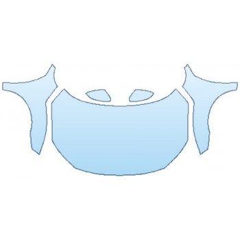 PAINT PROTECTION KIT - 2017 HONDA CIVIC HATCHBACK SPORT FULL HOOD FENDERS MIRRORS - PRECUT PPF CLEAR BRA WRAP