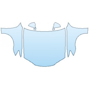 PAINT PROTECTION KIT - 2017 LEXUS GS TURBO FULL HOOD FENDERS MIRRORS - PRECUT PPF CLEAR BRA WRAP