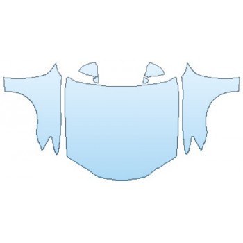 PAINT PROTECTION KIT - 2017 LEXUS GS TURBO FULL HOOD(WRAPPED EDGES) FENDERS MIRRORS - PRECUT PPF CLEAR BRA WRAP