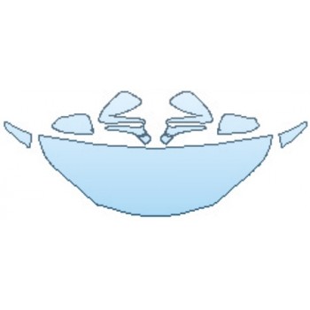 PAINT PROTECTION KIT - 2017 LEXUS NX TURBO F-SPORT HOOD(24 INCH) FENDERS MIRRORS - PRECUT PPF CLEAR BRA WRAP