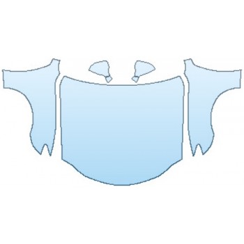 PAINT PROTECTION KIT - 2017 LEXUS RC TURBO FULL HOOD FENDERS MIRRORS - PRECUT PPF CLEAR BRA WRAP