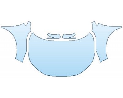 PRECUT PPF CLEAR BRA WRAP