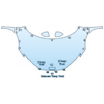 PAINT PROTECTION KIT - 2017 AUDI R8 V10 FULL HOOD FENDERS MIRRORS - PRECUT PPF CLEAR BRA WRAP