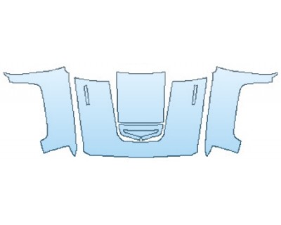 PRECUT PPF CLEAR BRA WRAP