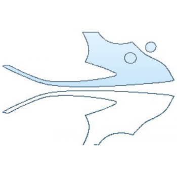 Precut PPF Kit – Clear Bra Paint Protection Film PAINT PROTECTION KIT - 2017 JAGUAR F-TYPE SVR FULL REAR QUARTERS (COUPE) - PRECUT PPF CLEAR BRA WRAP