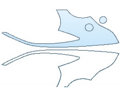 PAINT PROTECTION KIT - 2017 JAGUAR F-TYPE SVR FULL REAR QUARTERS (COUPE) - PRECUT PPF CLEAR BRA WRAP