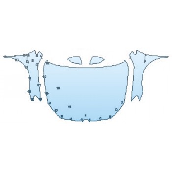 PAINT PROTECTION KIT - 2017 VOLKSWAGEN GOLF ALLTRACK S FULL HOOD FENDERS MIRRORS - PRECUT PPF CLEAR BRA WRAP