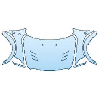 PRECUT PPF CLEAR BRA WRAP