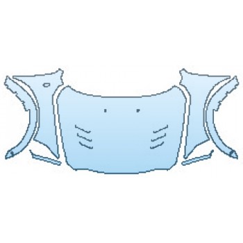 PRECUT PPF CLEAR BRA WRAP