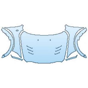 PRECUT PPF CLEAR BRA WRAP