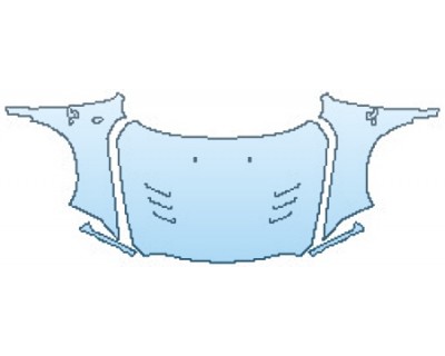 PRECUT PPF CLEAR BRA WRAP