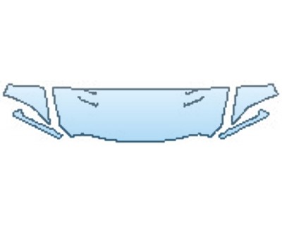 PRECUT PPF CLEAR BRA WRAP