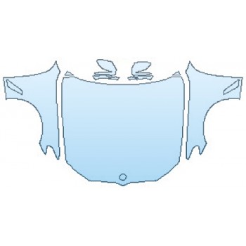 PAINT PROTECTION KIT - 2017 BMW 5 SERIES 540I SDRIVE SEDAN M SPORT FULL HOOD (WRAPPED EDGES) FENDERS MIRRORS - PRECUT PPF CLEAR BRA WRAP