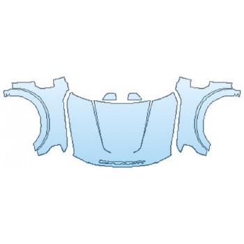 PRECUT PPF CLEAR BRA WRAP
