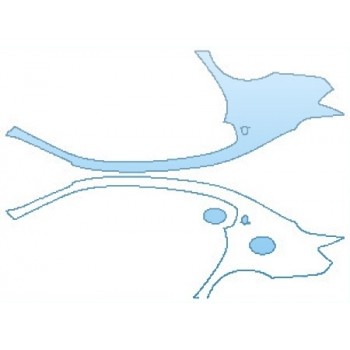 PAINT PROTECTION KIT - 2017 MASERATI QUATTROPORTE S Q4 GRANSPORT FULL REAR QUARTERS - PRECUT PPF CLEAR BRA WRAP